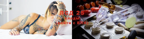 соль ск Володарск