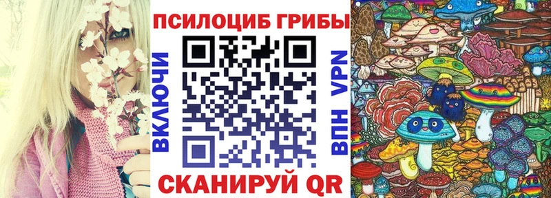 Галлюциногенные грибы мицелий Купить закладки Ишимбай